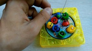 ► Игрушки для детей. Ловим рыбки и учим цвета вместе с детьми. Видео для детей.