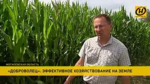 «Совхоз «Доброволец» – пример эффективного хозяйствования на земле