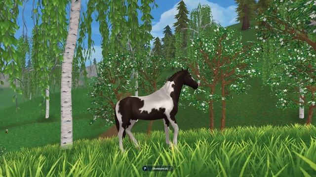 All 8 New Horse Colors  in Star Stable Horses Game