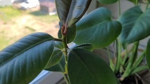 Почему редко снимаю, где пропала и что делаю