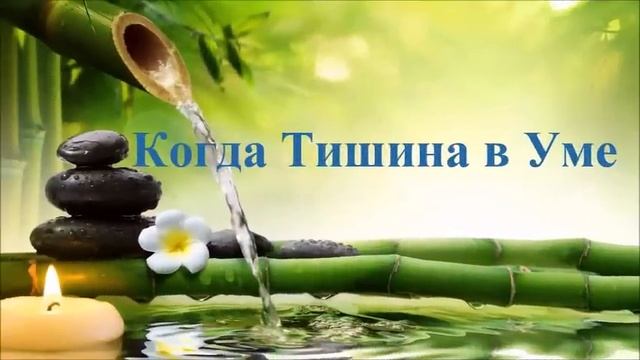 А.В.Клюев - Конституция Зиновьева / Супраментальная Сила (78)