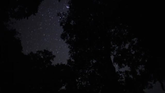 ДУША СКАЗАЛА: "ТАК УСТАЛА!" Читает: Марина Ермолаева,Автор: Ольга Овчарова