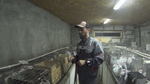 Есть ли смысл гоняться за породой?! Белый Панон от Дяди Саши