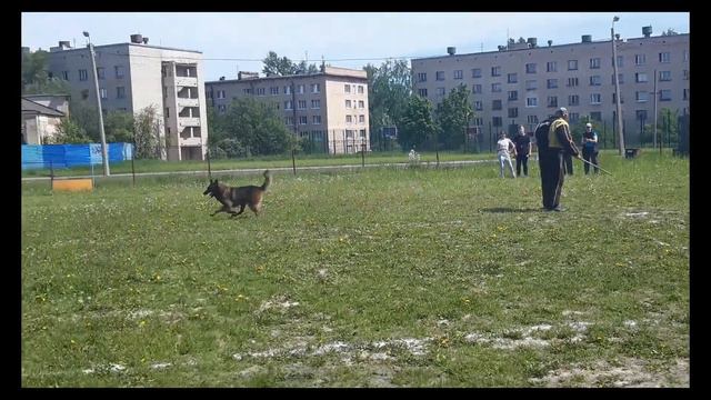 БОЛЬШОЙ РУССКИЙ РИНГ. Первый опыт - первая победа! смотреть онлайн