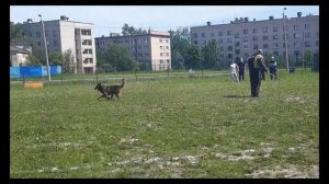 БОЛЬШОЙ РУССКИЙ РИНГ. Первый опыт - первая победа!