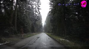Смертельный файл (33№) : Гнилое фото