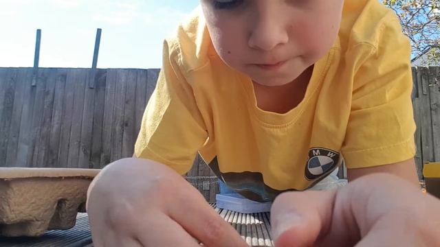 коллекция камней смотреть онлайн