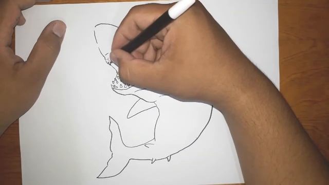 How to draw GREAT WHITE SHARK смотреть онлайн