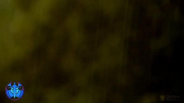 Глубокое расслабление. Снять раздражительность и тревогу