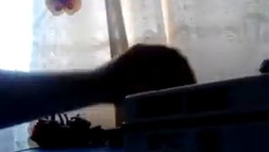 подсветка на буханке