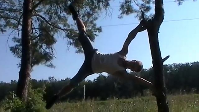 Обезьян на дереве) смотреть онлайн