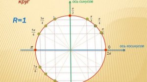 Определение синуса, косинуса.  Тригонометрический круг.