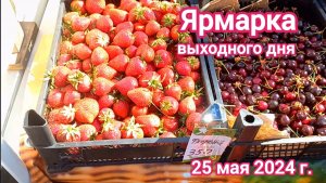Краснодар - Ярмарка выходного дня на ул. Одесской - цены на продукты - 25 мая 2024 г.