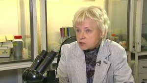 Как отличить малярийных комаров от обычных