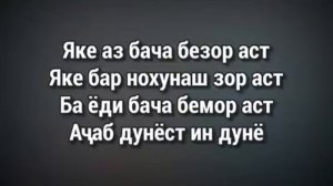Хасан Хайдар- ачаб дунё