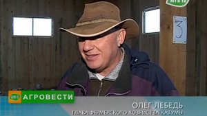 Катумские овцы