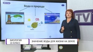 Биология. 10 класс. Значение воды для жизни на Земле /04.09.2020/