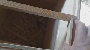 Начинающие пчеловоды   ошибки