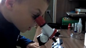 Обзор микроскопа 100х 400х 1200х