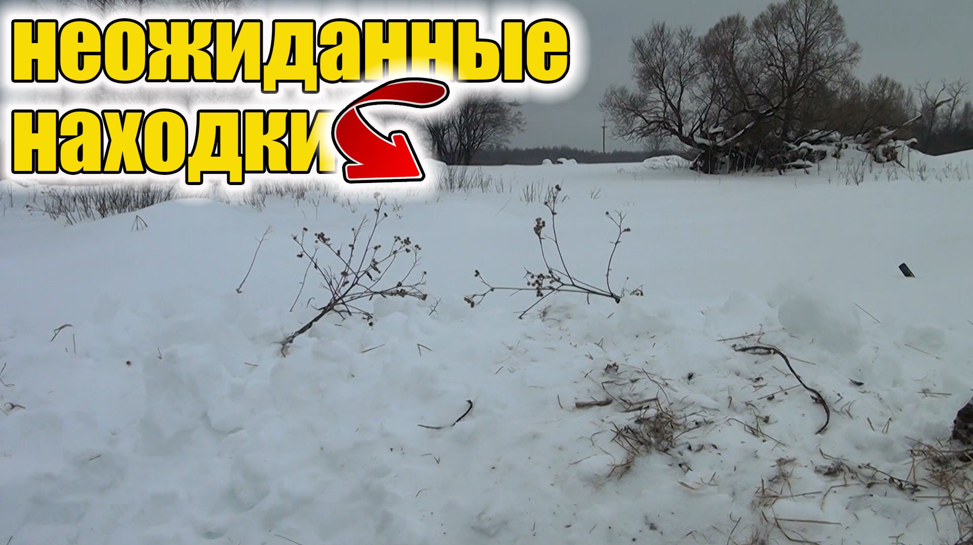 Неожиданно-Редкие находки на шурфе в старом урочище!Коп старины с металлоискателем