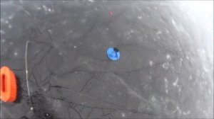 Испытания Бурана по воде /ПРОВАЛИЛСЯ ПО УШИ????☠️ Отличная Рыбалка Крупная Щука Хороший окунь