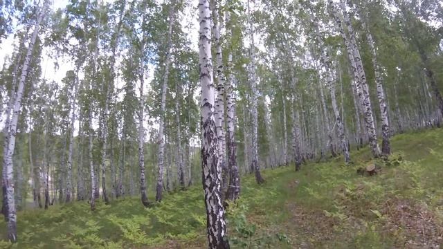 2. Страшная история на ночь. Оборотень смотреть онлайн