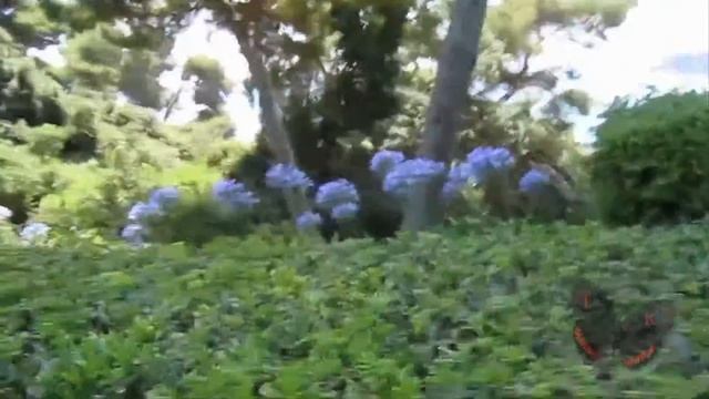 Сады Святой Клотильды2 Santa Clotilde Gardens 2 смотреть онлайн