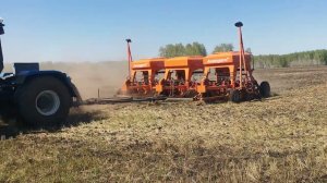 Кормиловский район посев пшеницы 2023 Сеялка ВС
