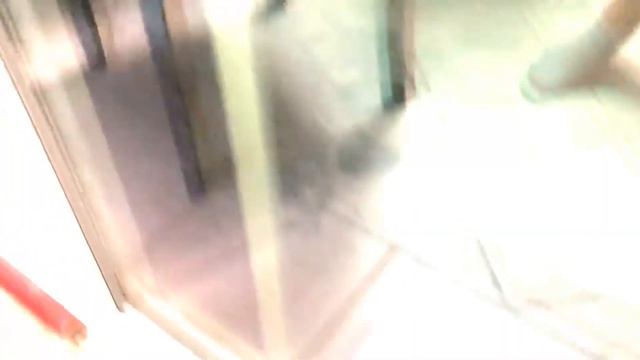 Raccoons stole cats food/ Еноты воруют еду наших котов !!!! смотреть онлайн