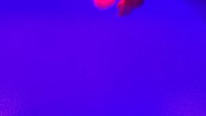 Legendary Godzilla and Kong vs King Ghidorah an epic stop motion battle