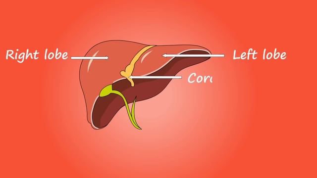Drink 1 Glass Of Himalayan Pink Salt, See What Will Happen To Your Body смотреть онлайн