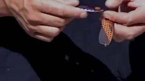 Диалоги о рыбалке   Жерех, сом, судак