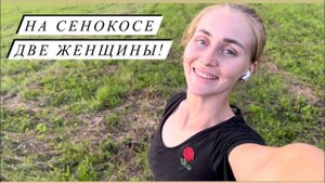 Лечим мастит у коров. Сделали более 300 рулонов сенажа.