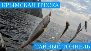 Крымская "ТРЕСКА" и тайный ТОННЕЛЬ к морю в Балаклаве!! Первые синие окуни в последний теплые дни!)