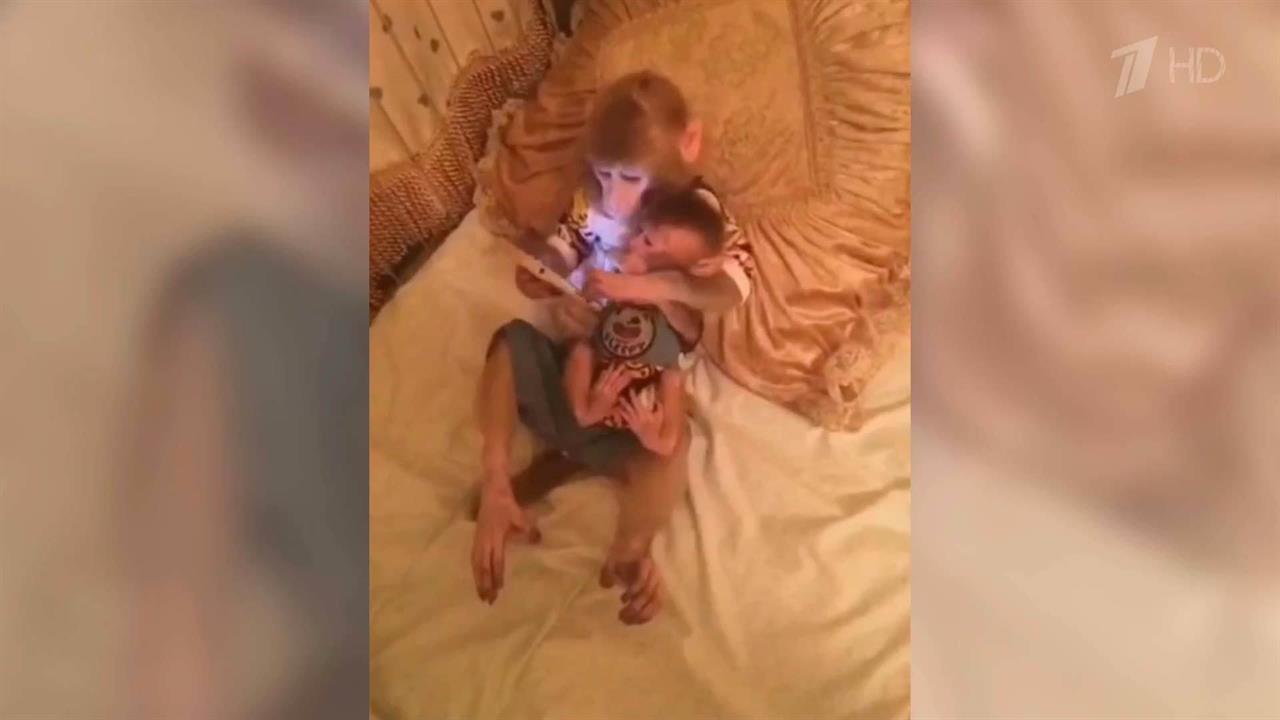 Гаджеты становятся популярными не только в мире людей, но и обезьян