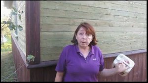 Покрытие деревянного фасада льняным маслом