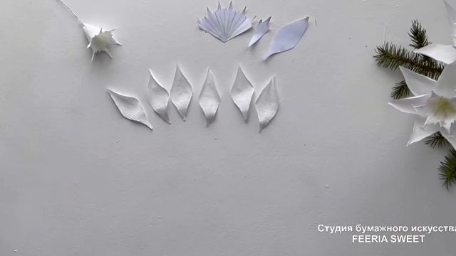 Демонстрационная вырезка из новогоднего курса