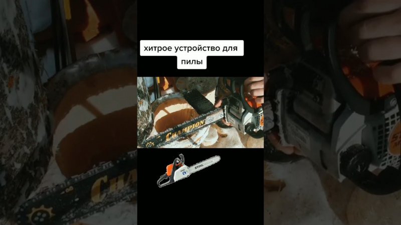 Делаем ловушку для пчёл #17 #shorts