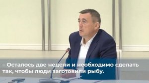 Поручил разобраться с ценами на свежую горбушу