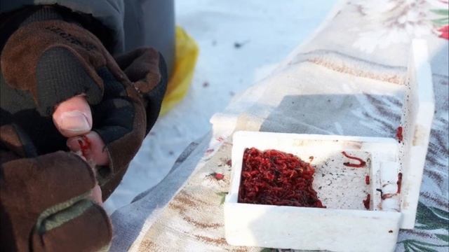 МармышкаГвоздь, почему эта лучшая снасть и ловит практически всегда?