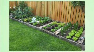 Живописный огород: аккуратные грядки