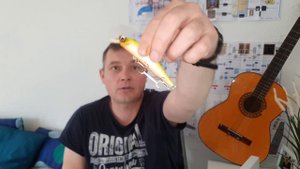 Разловили воблер по ночному судаку. Воблеры на ночного судака.