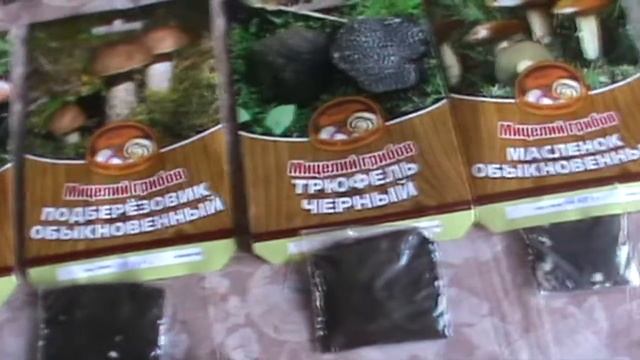 Обзор посылки с мицелием грибов. смотреть онлайн