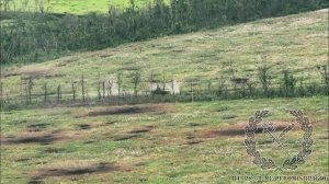 Меткий выстрел из гранатомета в шведскую БМП CV-90 ВСУ во время наступательных действий гвардейцев