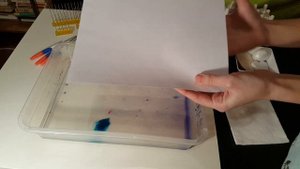 Мастер класс по Эбру в ДОУ