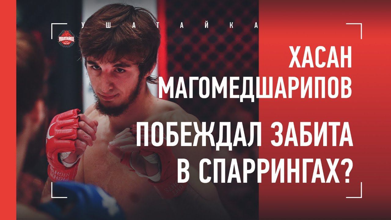 Брат забита МАГОМЕДШАРИПОВА. Хасан Магомедшарипов и забит. Братишка забей.