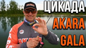 Цикада Akara Trout Time Gala