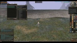 Гайд по макросам (Lineage 2, Asterios x7)