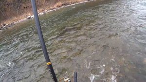 Рыбалка на ХАРИУСА ОСЕНЬЮ по Заберегам/ Новый Маршрут По Горной РЕКЕ ХАКАСИИ/ Леска трещит от Клёва