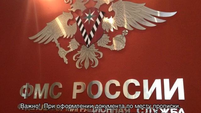 Удостоверение личности гражданина РФ смотреть онлайн